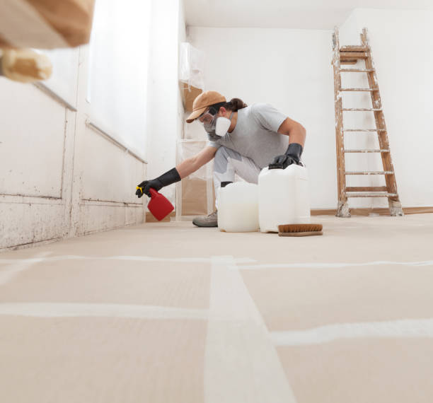 Professional Mold Removal in Kearny, NJ